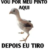 Figurinha de Memes Brasileiros para WhatsApp