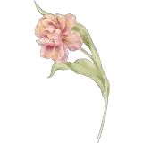 Figurinha para WhatsApp