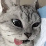 Sticker para WhatsApp