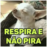 Figurinha de Cachorros para WhatsApp