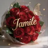 Sticker de Amor para WhatsApp