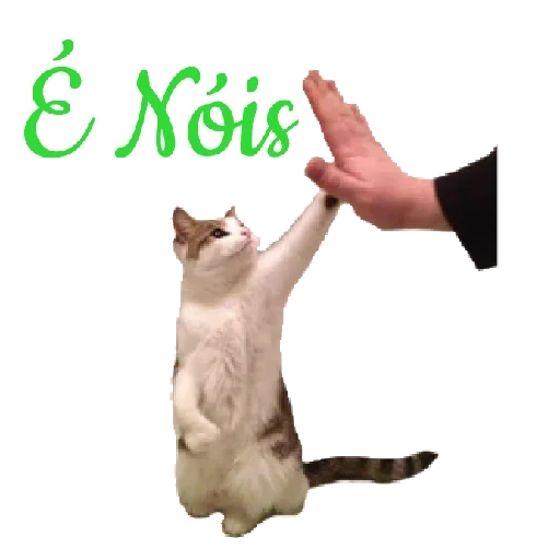 Figurinha para WhatsApp — Animais