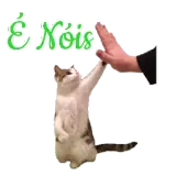 Figurinha de Animais para WhatsApp