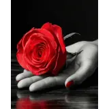 Sticker de Amor para WhatsApp