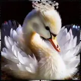 Figurinha para WhatsApp