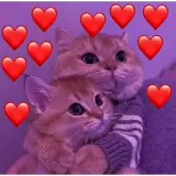 Figurinha para WhatsApp