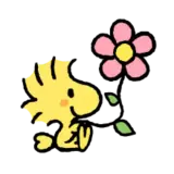 Figurinha de Animais para WhatsApp