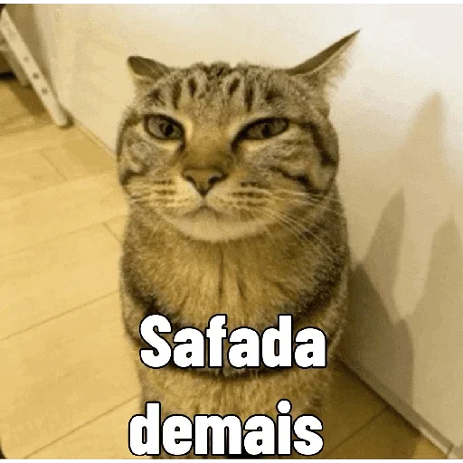 Figurinha para WhatsApp — Memes Brasileiros