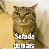 Figurinha de Memes Brasileiros para WhatsApp