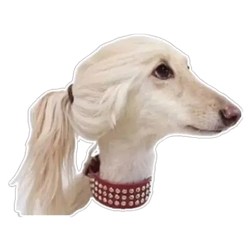 Coletadas sticker 7287