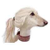 Figurinha de Cachorros para WhatsApp