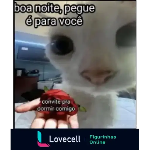 Coletadas sticker 33333