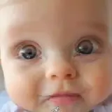 Figurinha de reação para WhatsApp