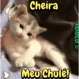 Figurinha de Animais para WhatsApp