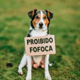 Figurinha de Animais para WhatsApp