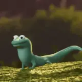 Figurinha de Animais para WhatsApp