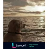 Sticker para WhatsApp