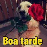 Figurinha de Saudações para WhatsApp