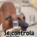 Figurinha de Cachorros para WhatsApp
