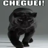 Figurinha para WhatsApp