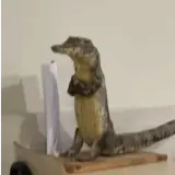 Figurinha de Animais para WhatsApp