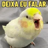 Figurinha de Memes Brasileiros para WhatsApp