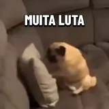 Figurinha de Animais para WhatsApp
