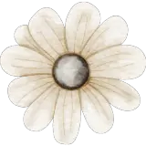 Figurinha para WhatsApp