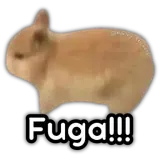 Figurinha de Animais para WhatsApp