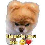Figurinha de Cachorros para WhatsApp