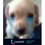 Sticker para WhatsApp