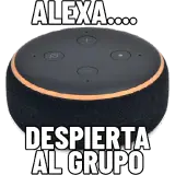 Figurinha de Memes para WhatsApp