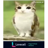 WhatsApp sticker