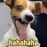 Figurinha de Cachorros para WhatsApp