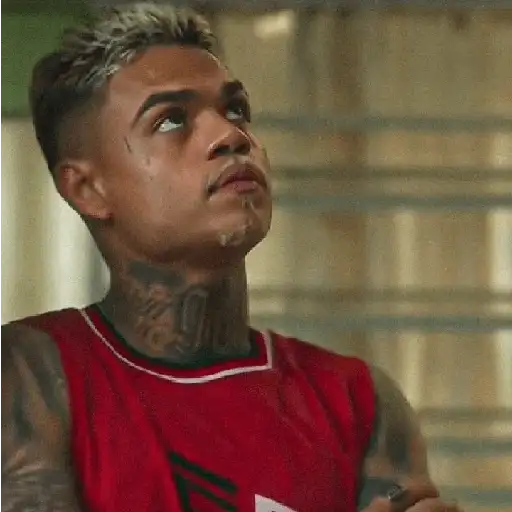 Coletadas sticker 94