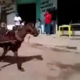 Figurinha para WhatsApp