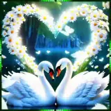 Sticker para WhatsApp