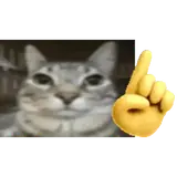 Sticker de Gatos para WhatsApp