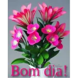 Figurinha de Bom Dia para WhatsApp