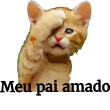 Sticker de Gatos para WhatsApp