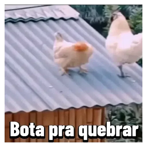 Figurinha para WhatsApp — Memes Brasileiros