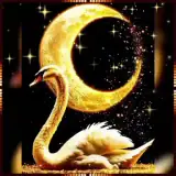 Sticker para WhatsApp