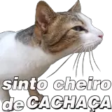 Figurinha de Memes Brasileiros para WhatsApp