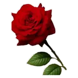 Figurinha para WhatsApp