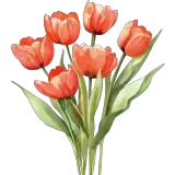 Figurinha para WhatsApp