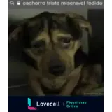 Figurinha para WhatsApp