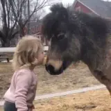 Animais WhatsApp sticker