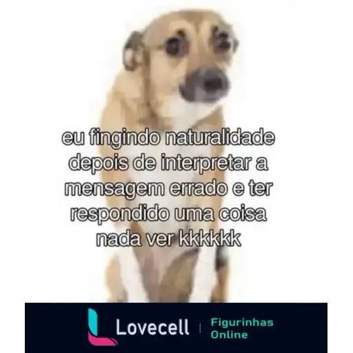 Coletadas sticker 33353