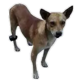 Figurinha de Cachorros para WhatsApp