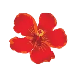 Figurinha para WhatsApp